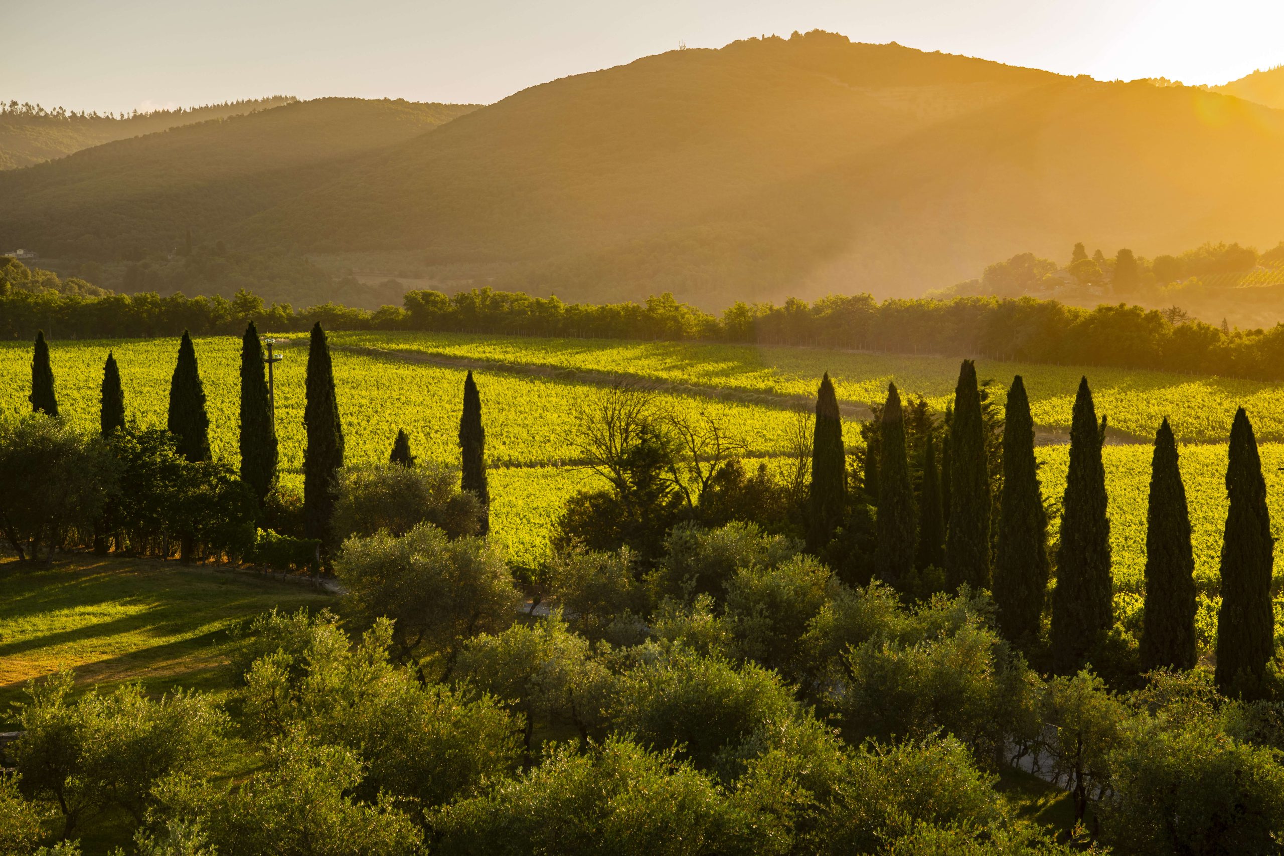 Borgo San Felice